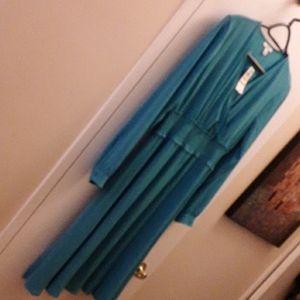 BRAND NEW fit and flare dress